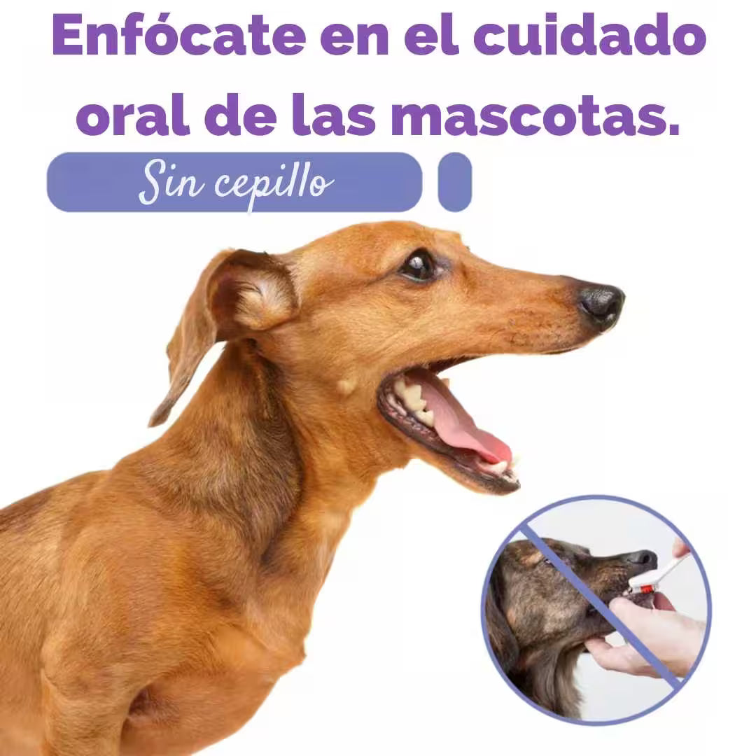 HAPPY PETS-SPRAY CUIDADO BUCAL MASCOSTAS