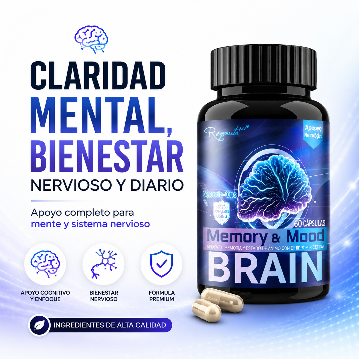 Memory Mood Brain