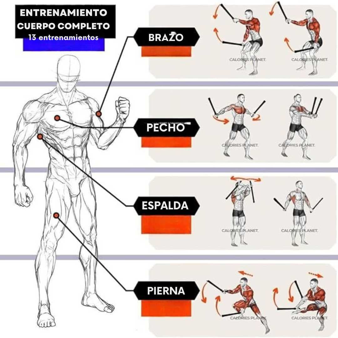 Battle Ropes-Cuerdas de batalla Para Gym en casa.