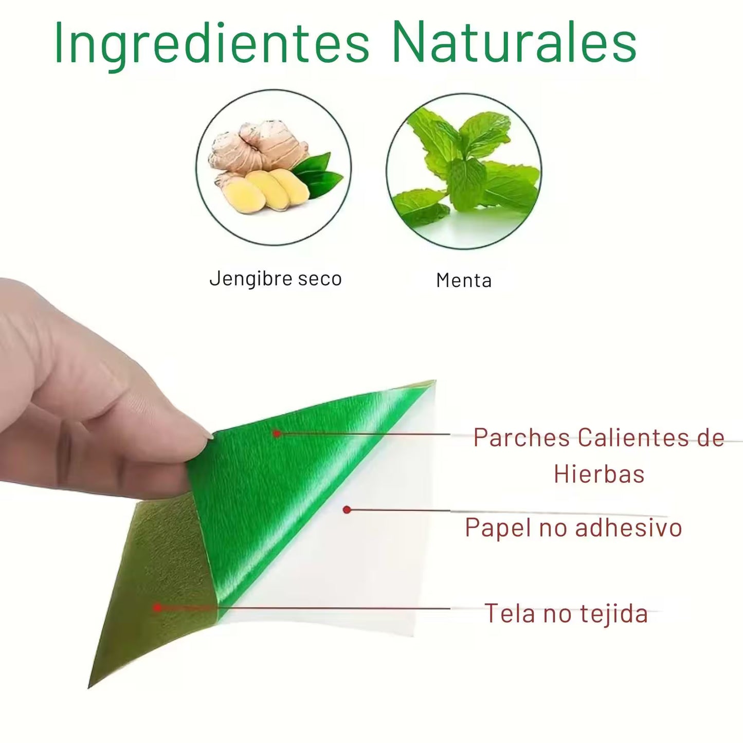 Parches para dolor de Espalda  x10 und